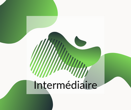 Intermédiaire